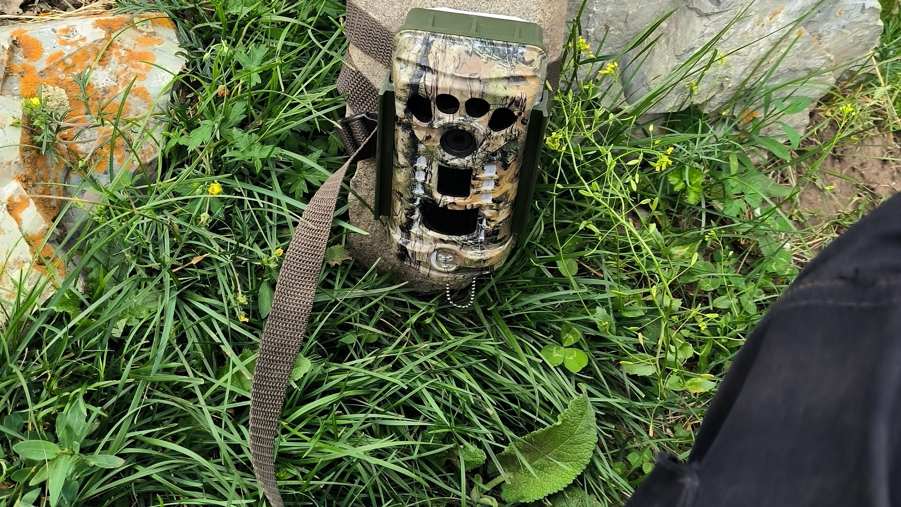 Infrared-triggered Camera